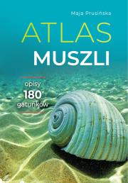 Atlas muszli. Autor: Maja Prusińska. Dadada.pl Okładka książki Atlas muszli