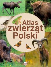 Atlas zwierząt Polski. Autor: Ulanowski Krzysztof. Dadada.pl Okładka książki Atlas zwierząt Polski