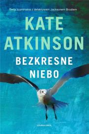 Bezkresne niebo DL. Autor: Kate Atkinson. Dadada.pl Okładka książki Bezkresne niebo DL