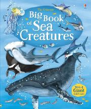 BIG BOOK OF SEA CREATURES. Autor: Minna Lacey. Dadada.pl Okładka książki BIG BOOK OF SEA CREATURES