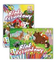 Opakowanie Blok rysunkowy A3/20K 80g (10szt)