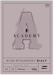 Opakowanie Blok rysunkowy A3/20K Academy (10szt)