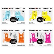 Opakowanie Blok rysunkowy A4/15K biały (10szt)