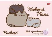 Opakowanie Blok rysunkowy A4 20 kartek 80g/m2 Pusheen