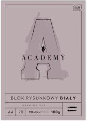 Opakowanie Blok rysunkowy A4/20K Academy (10szt)