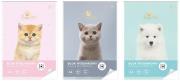 Opakowanie Blok rysunkowy A4/50K UV Puppy Sign (10szt)