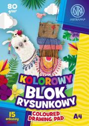 Opakowanie Blok rysunkowy kolorowy A4 15 arkuszy 10 sztuk mix