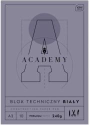 Opakowanie Blok techniczny A3/10K Academy (10szt)
