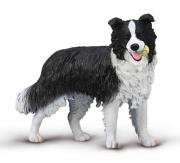 Opakowanie Border Collie