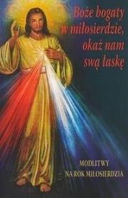 Boże bogaty w miłosierdzie, okaż nam swą łaskę. Autor:   Praca zbiorowa. Dadada.pl Okładka książki Boże bogaty w miłosierdzie, okaż nam swą łaskę