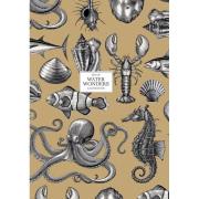 Opakowanie Brulion A4/80K kratka Water Wonders ASTRA