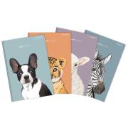 Opakowanie Brulion Animal A6/80K (5szt) kratka TOP2000