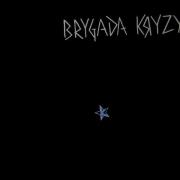 Brygada Kryzys (na 40-lecie) LP. Autor: Brygada Kryzys. Dadada.pl Okładka książki Brygada Kryzys (na 40-lecie) LP