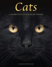 Cats. Autor: Photopoulos Julianna. Dadada.pl Okładka książki Cats