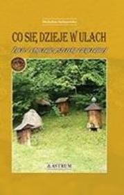 Okładka książki Co się dzieje w ulach