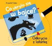 Co ukryło się w bajce?. Autor: Krzysztof Zięba. Dadada.pl Okładka książki Co ukryło się w bajce?