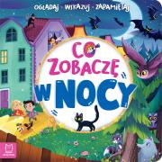 Co zobaczę w nocy. Oglądaj, wskazuj, zapamiętuj. Autor: Sylwia Kajdana. Dadada.pl Okładka książki Co zobaczę w nocy. Oglądaj, wskazuj, zapamiętuj