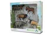 Opakowanie Collecta Zestaw 5 dzikich zwierząt