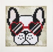 Opakowanie Cool Sunnies Quick Dotz