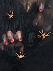 Opakowanie Czarna pajęczyna z pająkiem