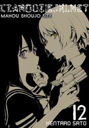 Okładka książki Czarodziejki.net 12