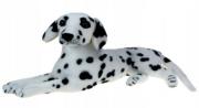 Opakowanie Dalmatyńczyk 47cm