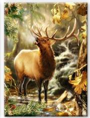 Opakowanie Diamentowa mozaika Jeleń w lesie NO-1008647