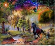 Opakowanie Diamentowa mozaika Koń magiczna kraina NO-1007057