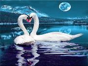 Opakowanie Diamentowa mozaika łabędzie w blasku księżyca 60762