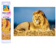 Diamentowa mozaika Lew NO-1004940. Wydawca: Norimpex. Dadada.pl Opakowanie Diamentowa mozaika Lew NO-1004940