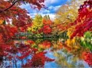 Opakowanie Diamentowa mozaika park jesienny staw NO-1007772