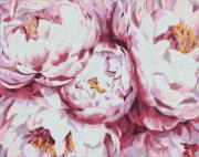 Opakowanie Diamentowa mozaika - Piwonie królewskie 40x50cm