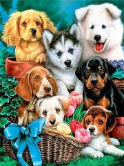 Opakowanie Diamentowa mozaika Psy 60713