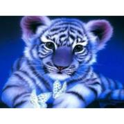 Opakowanie Diamentowa mozaika Tygrysek z motylkiem NO-1004941