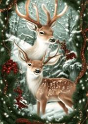 DIAMENTOWA MOZAIKA ZIMA RENIFERY W STROIKU ŚWIĄTECZNYM  NO-2000709. Wydawca: Norimpex. Dadada.pl Opakowanie DIAMENTOWA MOZAIKA ZIMA RENIFERY W STROIKU ŚWIĄTECZNYM  NO-2000709