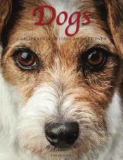 Dogs. Autor: Jackson Tom. Dadada.pl Okładka książki Dogs