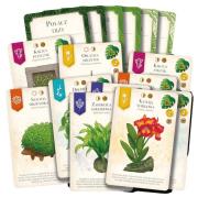 Doniczki - karty promocyjne. Wydawca: Lucky Duck Games Polska. Dadada.pl Opakowanie Doniczki - karty promocyjne