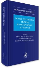 Okładka książki Dostęp do ochrony prawnej w postępowaniu cywilnym
