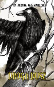 Okładka książki Droga dusz