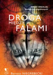 Droga między falami. Autor: Niegrebecki Bartosz. Dadada.pl Okładka książki Droga między falami
