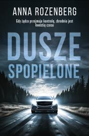 Dusze spopielone - uszkodzone. Autor: Anna Rozenberg. Dadada.pl Okładka książki Dusze spopielone - uszkodzone