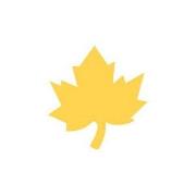 Opakowanie Dziurkacz ozdobny 3,7cm klon