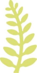 Opakowanie Dziurkacz ozdobny 5cm paproć