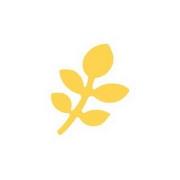 Opakowanie Dziurkacz ozdobny do papieru 2,5cm gałązka