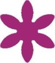 Opakowanie Dziurkacz ozdobny - Kwiatek 5cm