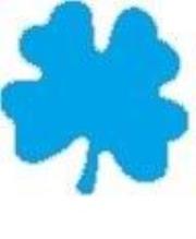 Opakowanie Dziurkacz ozdobny - Liść 2,5cm