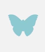 Opakowanie Dziurkacz ozdobny - Motyl 3,8cm MIX