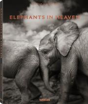 Elephants in Heaven. Autor: Schmeisser Joachim. Dadada.pl Okładka książki Elephants in Heaven