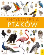 Encyklopedia ptaków. Autor: Paweł Zalewski. Dadada.pl Okładka książki Encyklopedia ptaków