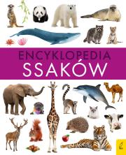 Encyklopedia ssaków. Autor: Paweł Zalewski. Dadada.pl Okładka książki Encyklopedia ssaków